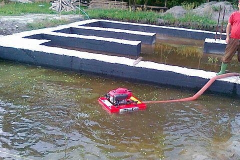 картинка Z111 