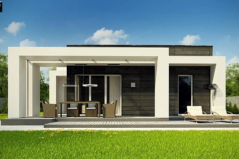 картинка Zx69 