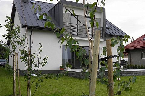 картинка Z116 