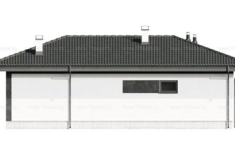 картинка ZS4 