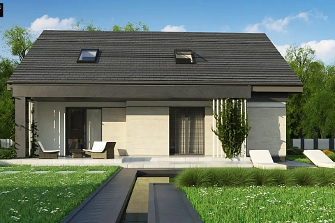 картинка Z316 P PK 