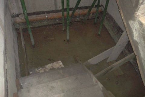 картинка Z26 