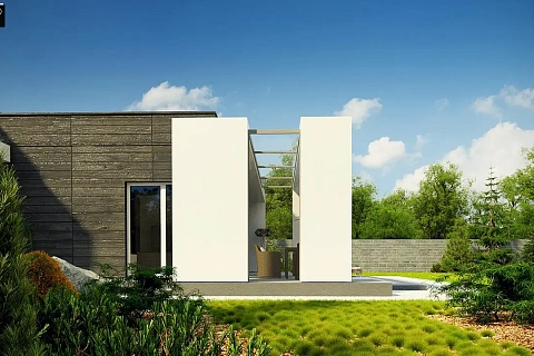 картинка Zx69 