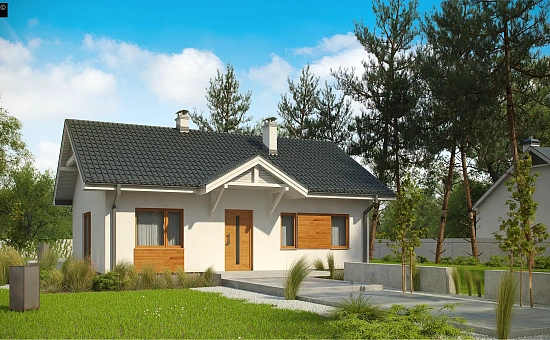 Компактный одноэтажный дом в традиционном стиле.