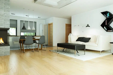 картинка Zx53 v1 