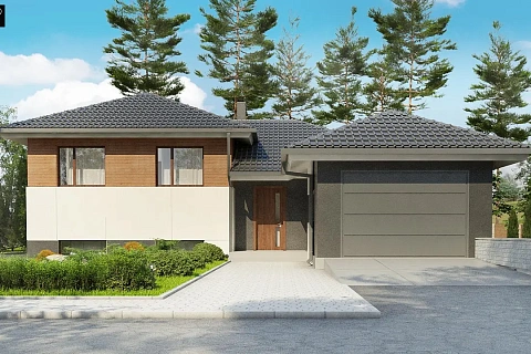 картинка Z335 