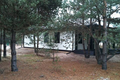 картинка Z16 