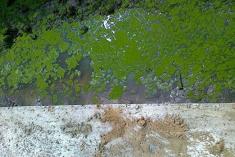 картинка Z111 