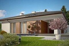 Стильный одноэтажный дом с комфортной крытой террасой