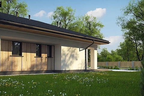 картинка Z354 