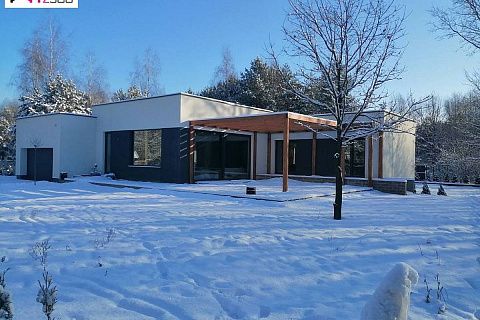 картинка Zx141 