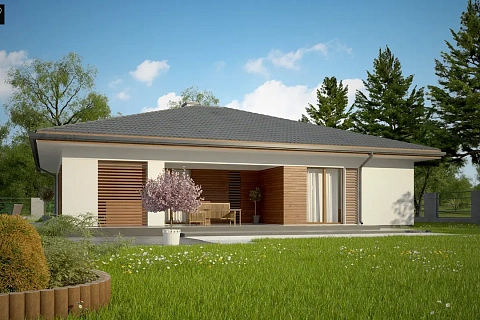 картинка Z321 v1 