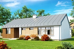 Функциональный одноэтажный дом в современном стиле с двускатной крышей.