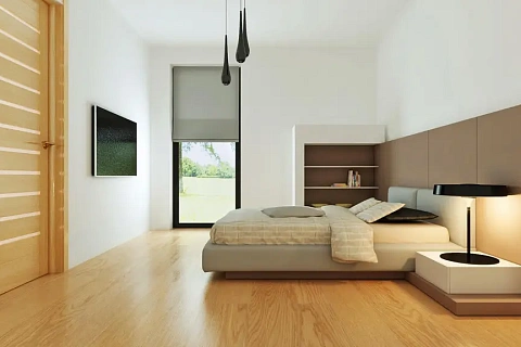 картинка Zx53 v1 